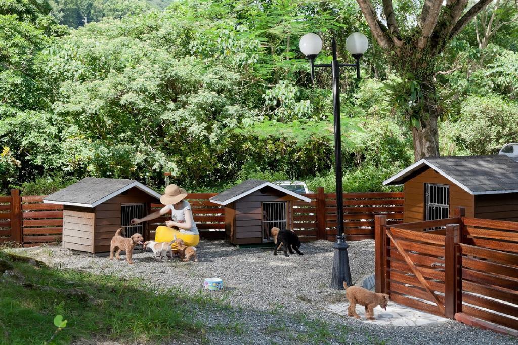 Hotel Royal Chihpin Wenquan Kültér fotó A dog hotel in the United States